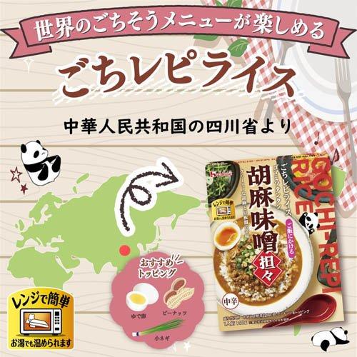 企画品)ごちレピライス4種12食セット ( 1セット ) 多国籍 エスニック