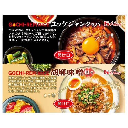 訳あり)(企画品)ごちレピライス4種12食セット ( 1セット ) 多国籍
