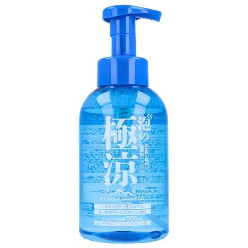 泡の極涼 アイスボディシャンプー ( 500mL ) : 爽快ドラッグ - 通販