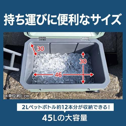 新品】 韓国 スターバックス 2021 クーラーボックス ブルー ネイビー