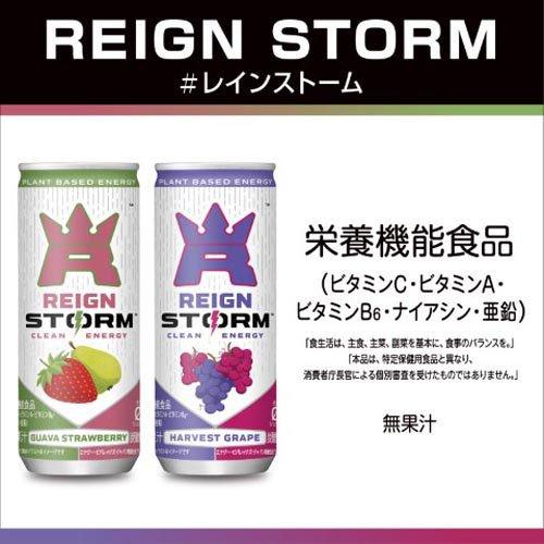 レインストーム グァバストロベリー ( 250ml×30本入 )/ モンスター