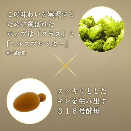 アサヒ ザ・ビタリスト 缶 ( 500ml×24本 )/ ビタリスト アサヒビール