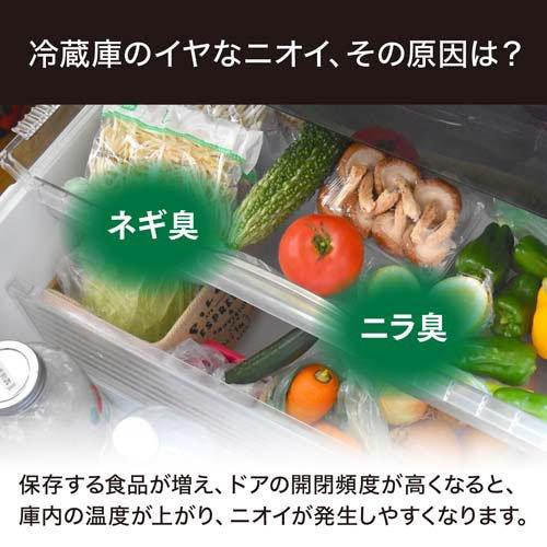 香味・薬味野菜 fumi imgrc0097996151.jpg