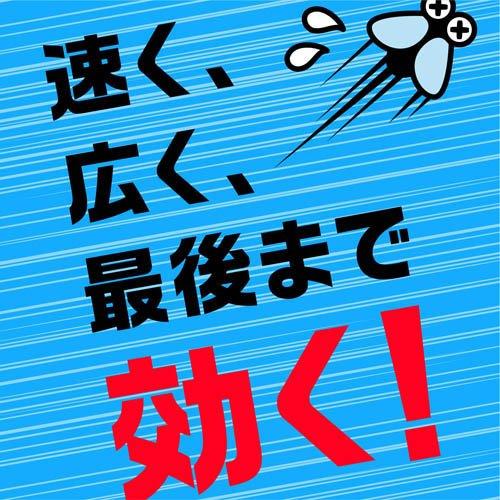 アース 虫よけネット EX 玄関用 260日用 虫除け 吊り下げ 入口 アース 虫よけネット EX 玄関用 260日用 虫除け 吊り下げ 入口