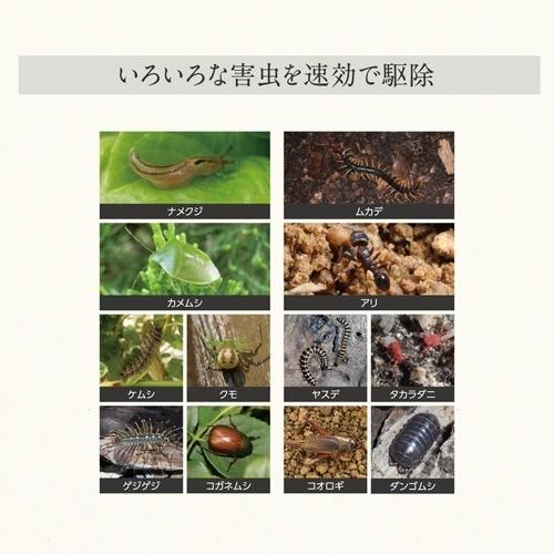 アースガーデン ハイパーお庭の虫コロリ 速効撃滅ジェット アースガーデン ハイパーお庭の虫コロリ 速効撃滅ジェット
