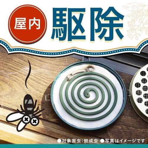 アース長持香 蚊取り線香 箱入 大型 駆除 侵入防止 アウトドア ( 50巻