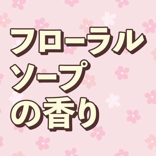 クローゼットにおくだけ防虫力 フローラルソープの香り ( 300ml クローゼットにおくだけ防虫力 フローラルソープの香り ( 300ml