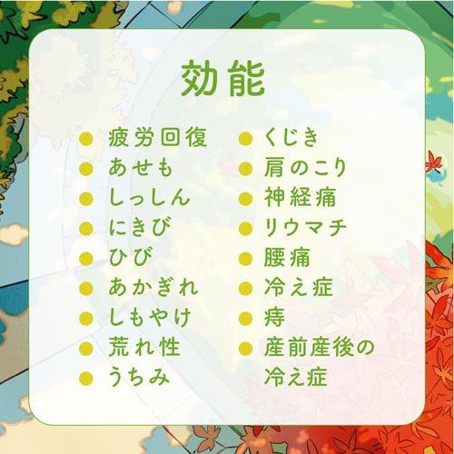 温泡 炭酸入浴剤 グリーンティーセレクト 2種詰め合わせ 個包装 ( 12錠