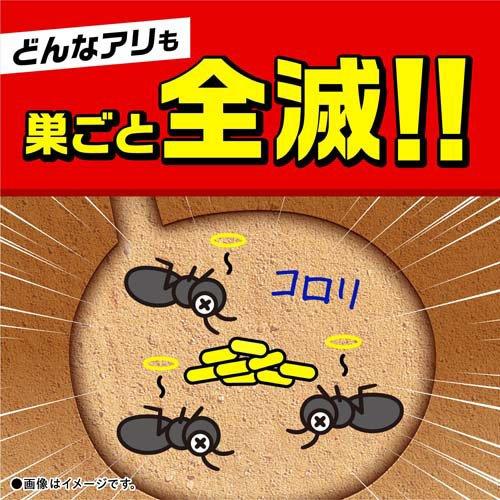 スーパーアリの巣コロリ アリ駆除剤 置き型 殺虫剤 駆除剤 毒餌剤 ( 2