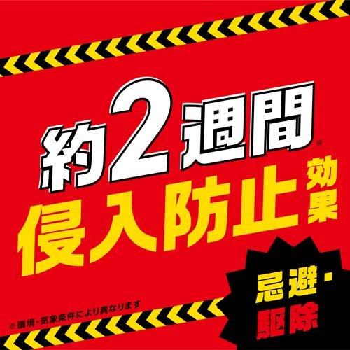 アリアース ジェット 蟻 駆除剤 + 侵入防止効果 ( 450ml )/ : 爽快