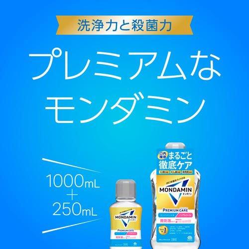 モンダミン マウスウォッシュ プレミアムケア ホワイトミント ノン