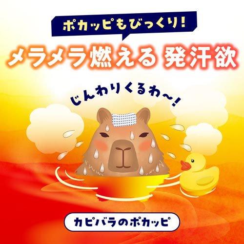 バスロマン 薬用入浴剤 ホットヴィヒタの香り ( 600g )/ : 爽快