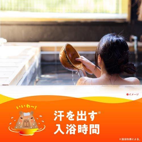 バスロマン 薬用入浴剤 ホットヴィヒタの香り ( 600g )/ : 爽快
