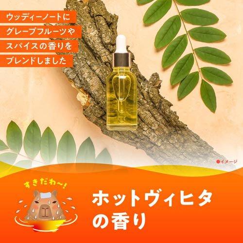 バスロマン 薬用入浴剤 ホットヴィヒタの香り ( 600g )/ : 爽快