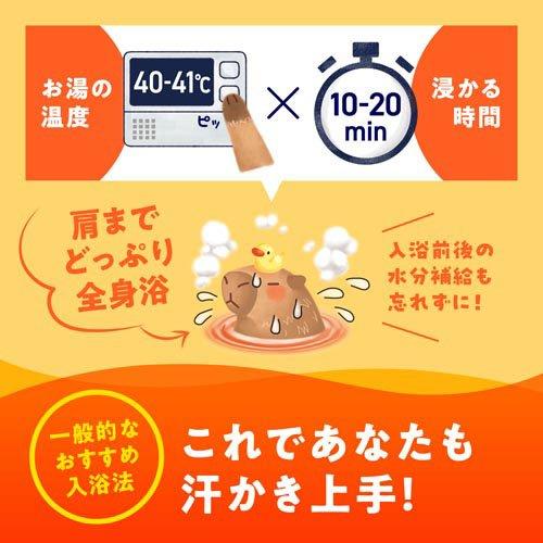 バスロマン 薬用入浴剤 ホットヴィヒタの香り ( 600g )/ : 爽快