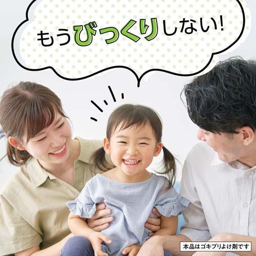 マモルーム ゴキブリ用 空間用 2ヵ月 取替えボトル ( 45ml×2本入