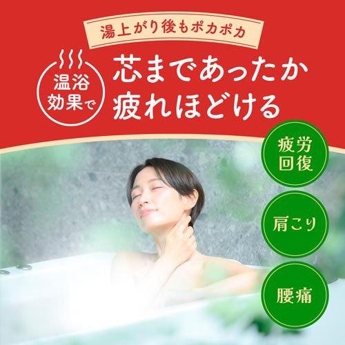 バスロマン 薬用入浴剤 にごり浴 ヒノキの香り ( 600g )/ 入浴剤