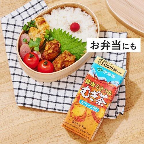 伊藤園 健康ミネラルむぎ茶 紙パック ( 250ml*24本入 )/ : 爽快