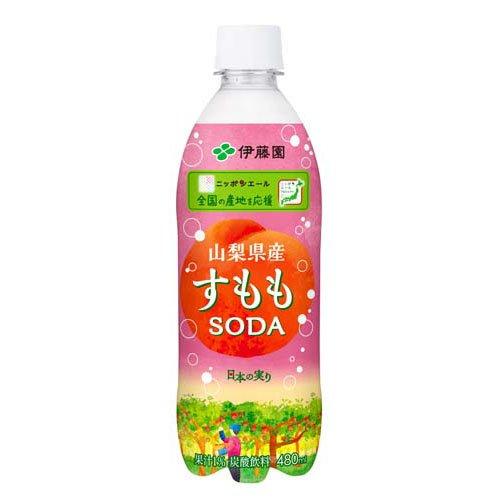 Ｂ.南国指宿産　すもも　　７.５㎏ 伊藤園 すももソーダ 山梨県産 ニッポンエール ペットボトル ( 480ml