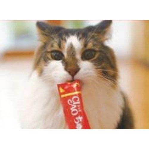 チャオ ちゅ〜るグルメ かつお 海鮮バラエティ 3種類の味入り ( 14g