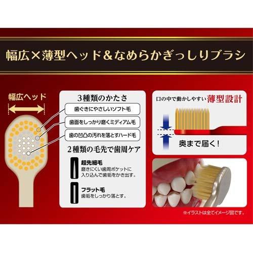 ザ・プレミアムケア8列レギュラー やわらかめ ( 1本入 )/ ザ・プレミアムケア