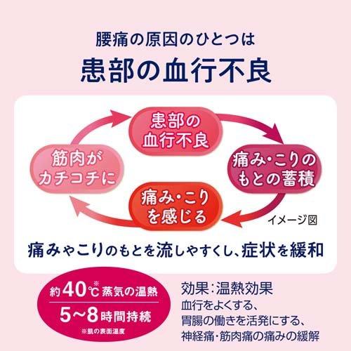 イアシス 温熱シート イアシス 温熱シート 【公式通販】