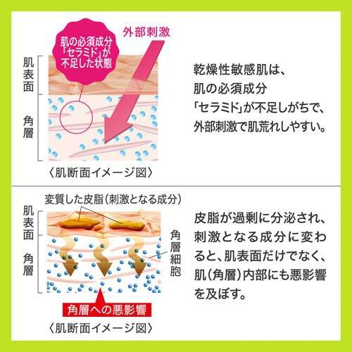 Kao（花王） キュレル 皮脂トラブルケア 化粧水 ( 150ml )/ キュレル