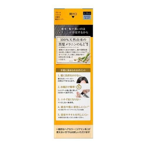 ブローネ リライズ 白髪用髪色サーバー リ・ブラック まとまり ブローネ リライズ 白髪用髪色サーバー リ・ブラック まとまり