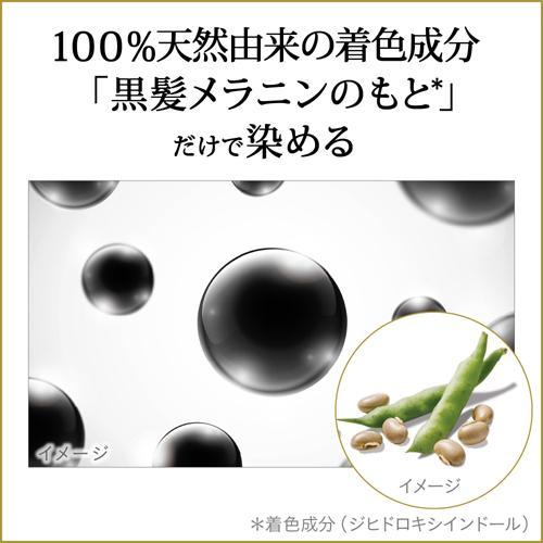 ブローネ リライズ 白髪用髪色サーバー リ・ブラック まとまり ブローネ リライズ 白髪用髪色サーバー リ・ブラック まとまり