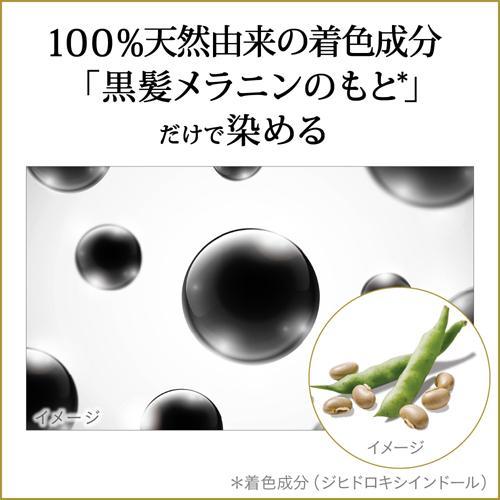 ブローネ リライズ 白髪用髪色サーバー リ・ブラック まとまり仕上げ つけかえ ( 190g )/ リライズ ( ヘアカラー 白髪染め 白髪 自然な黒 男女兼用 )｜soukai｜03