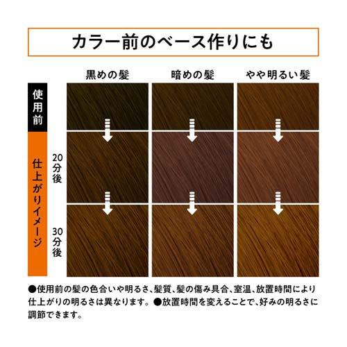 リーゼ 泡ブリーチ ナチュラルトーン ( 108ml )/ : 爽快ドラッグ