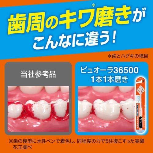 ピュオーラ36500 ハブラシ 1本1本磨き ふつう ( 1本 ) : 爽快ドラッグ