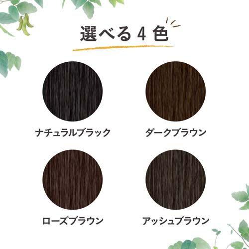 新品　ブローネ　リライズ　ナチュリラ　ローズブラウン ブローネ ナチュリラ 色長持ちカラートリートメント ローズブラウン