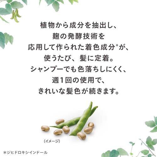 ブローネ ナチュリラ 色長持ちカラートリートメント アッシュブラウン