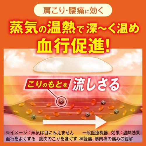 めぐりズム 医療機器 肌に直接貼るシート ( 16枚入 )/ : 爽快ドラッグ