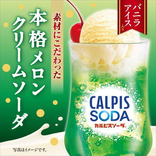 カルピスソーダ こだわり素材のメロンクリームソーダ ( 500ml×24本入