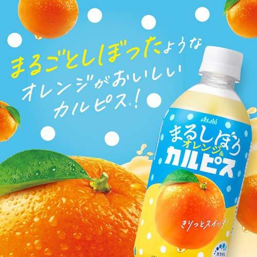 まるしぼりオレンジ＆カルピス PET ( 470ml×24本入 )/ カルピス : 爽快