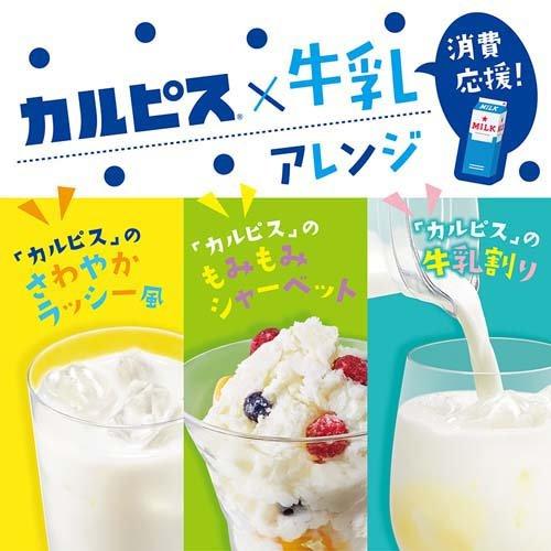 カルピス　原液　希釈用　17本セット カルピス アサヒ ほっと 原液 希釈用 プラスチックボトル470から