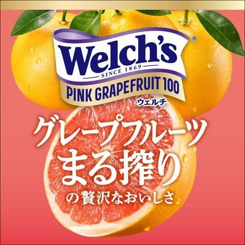 Welch's ウェルチ ピンクグレープフルーツ100 ( 800g×8本入 Welch's ウェルチ ピンクグレープフルーツ100 ( 800g×8本入