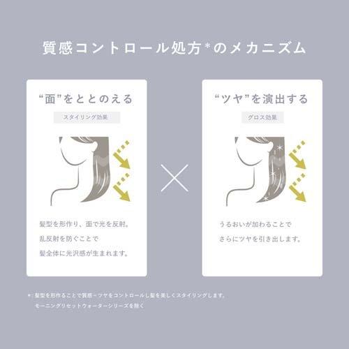 プロスタイル ニュアンスメイクオイル 詰替用 ( 60ml )/ : 爽快