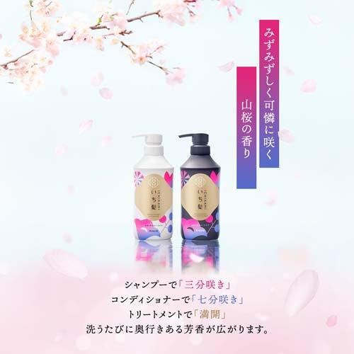 いち髪 なめらかスムースケア シャンプー 詰め替え 大容量 ( 640ml