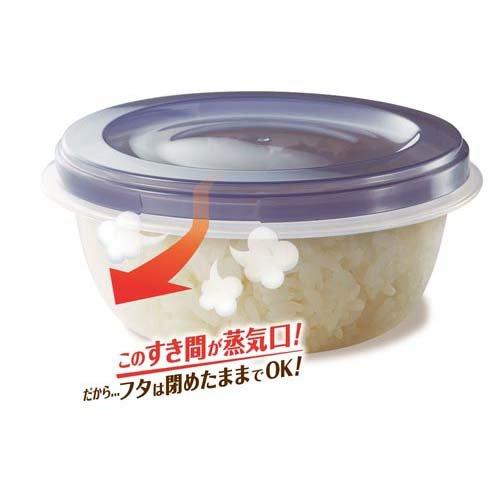 キチントさん ごはん冷凍保存容器 一膳+小盛 アソートセット ( 1セット