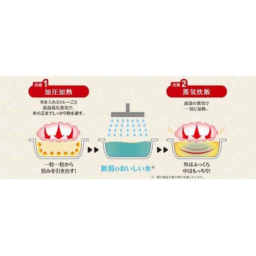 国産こしひかり 小盛ごはん 分割パック ( 100g×6個入 )/ テーブル
