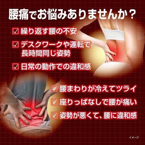 血流改善 腰ホットン ( 5枚入 )/ : 爽快ドラッグ - 通販 - Yahoo