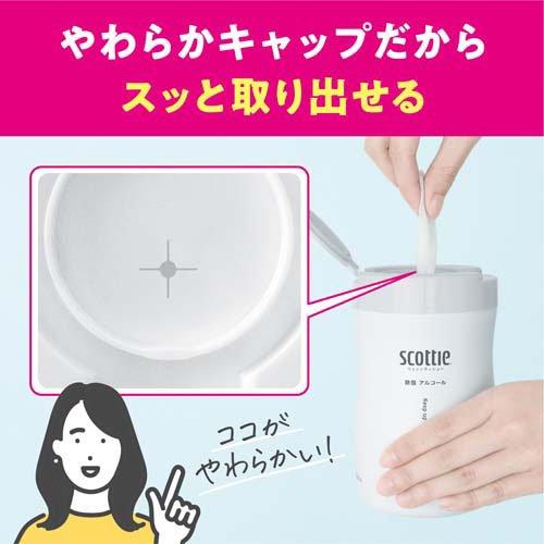スコッティ ウェットティッシュ 除菌 アルコール 本体 ( 120枚