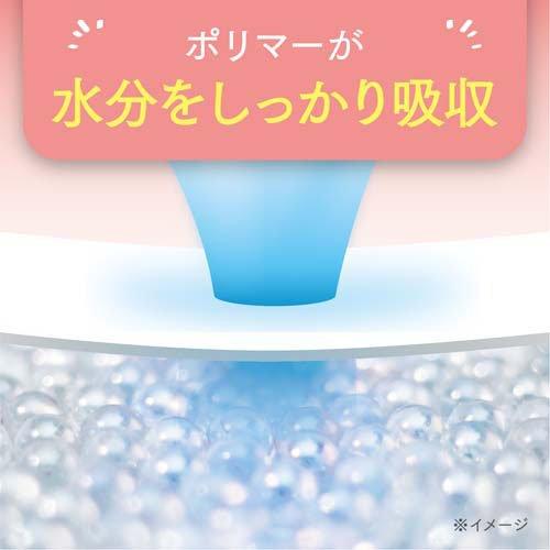 吸水ナプキン ポイズ 100cc 27cm 無香料 さらさら吸水 尿もれ ( 12枚入