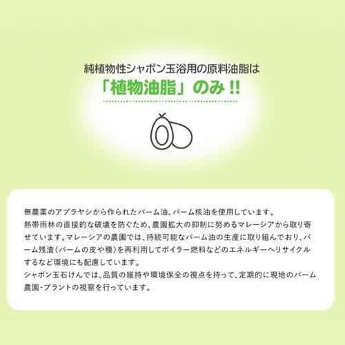 純植物性シャボン玉 浴用 ( 100g*3コ入 )/ シャボン玉石けん 敏感肌