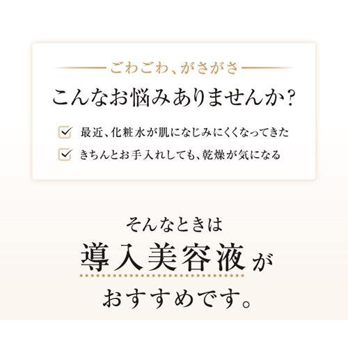 エリクシール ブースターエッセンス 導入美容液 エイジングケア エリクシール ブースターエッセンス 導入美容液 エイジングケア
