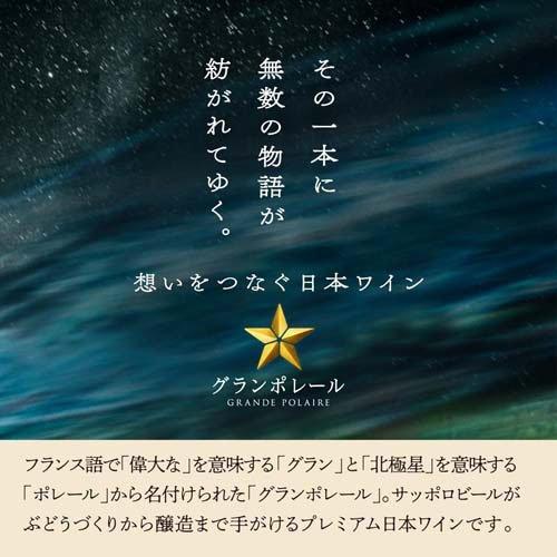グランポレール 長野メルロー ( 750ml ) 日本ワイン 赤ワイン ギフト