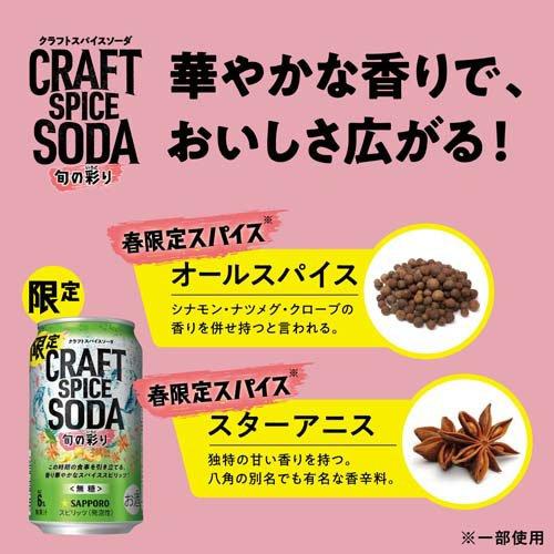 (企画品)サッポロ クラフトスパイスソーダ 旬の彩り 缶 ( 350ml×24本 )｜soukai｜04